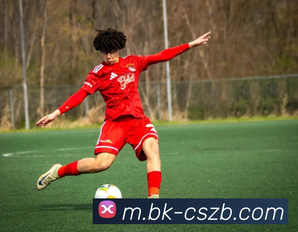 彩神争霸平台生态图