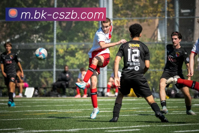 彩神争霸APP 封面图